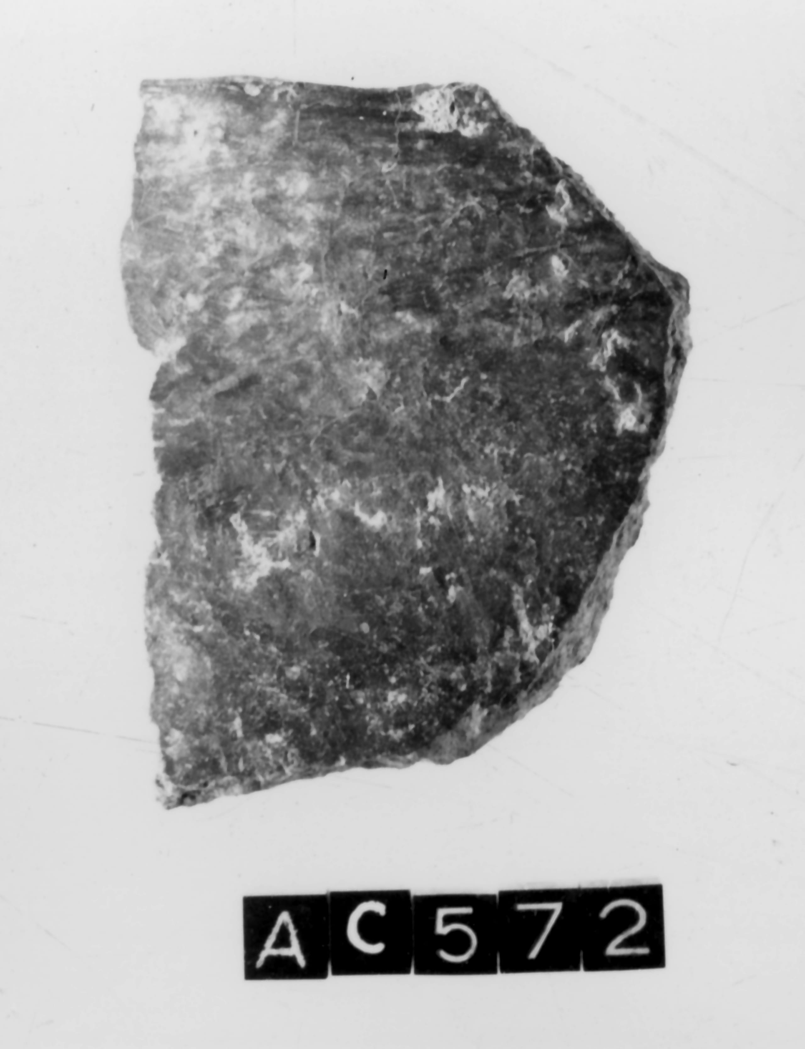 pentola (Neolitico Antico II)