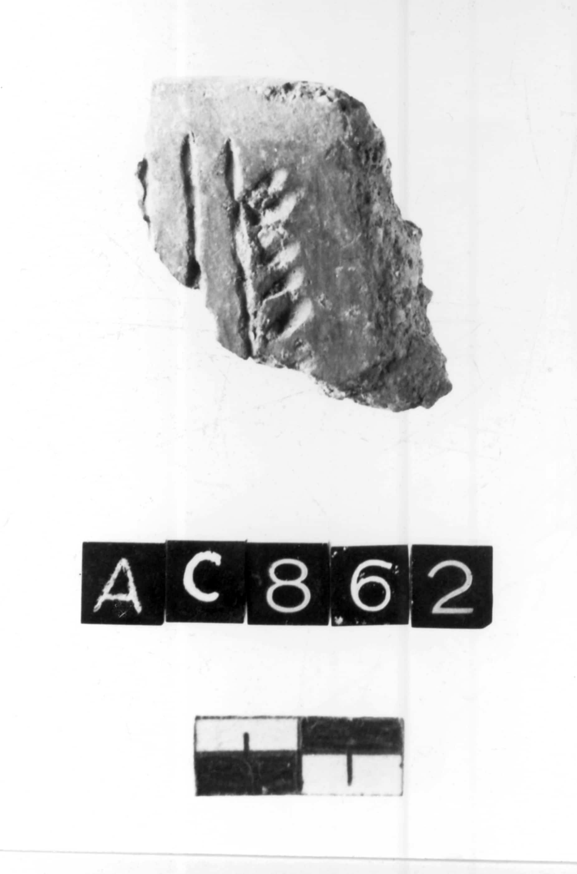 fiasco (Neolitico antico)