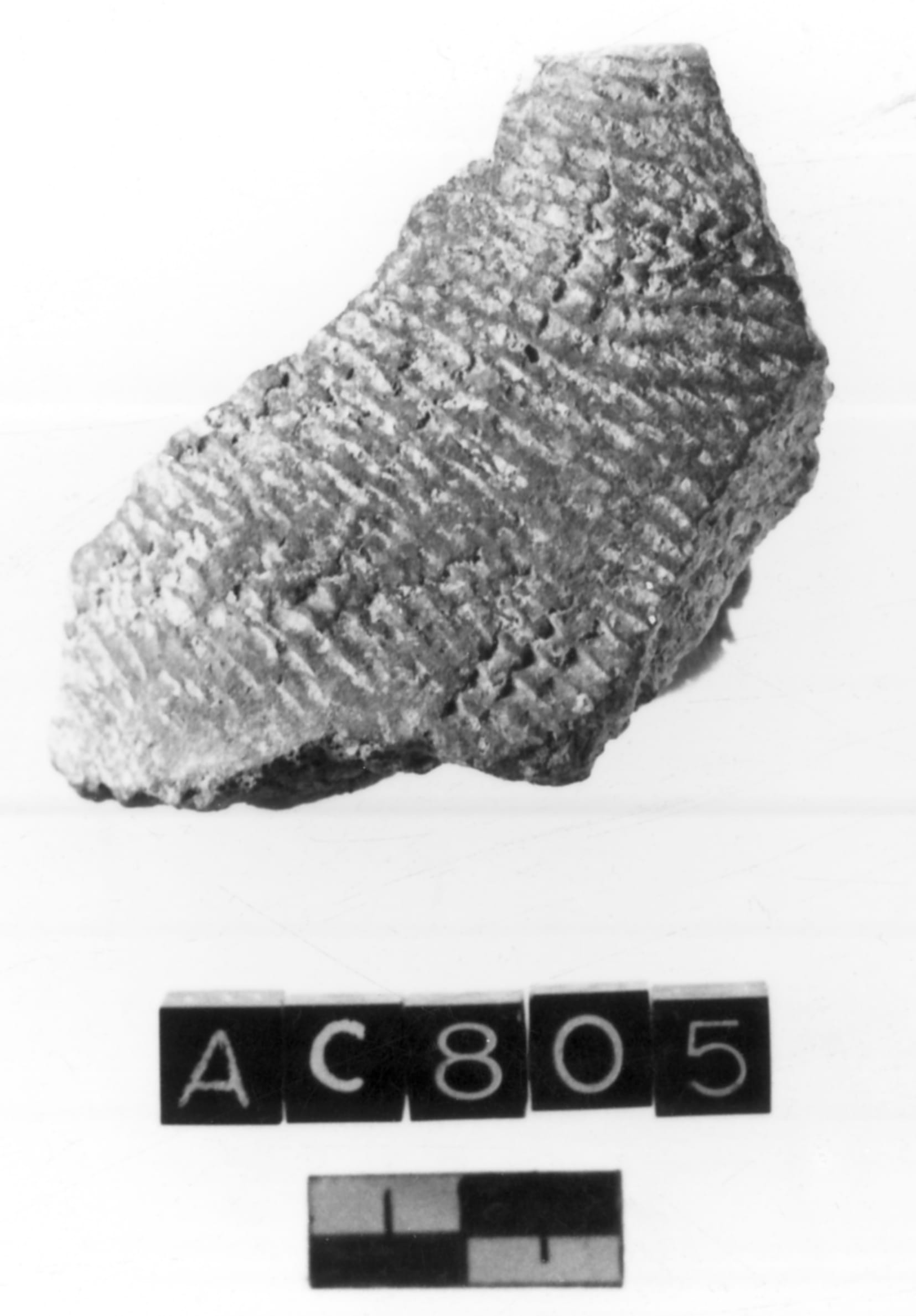 fiasco (Neolitico Antico II)