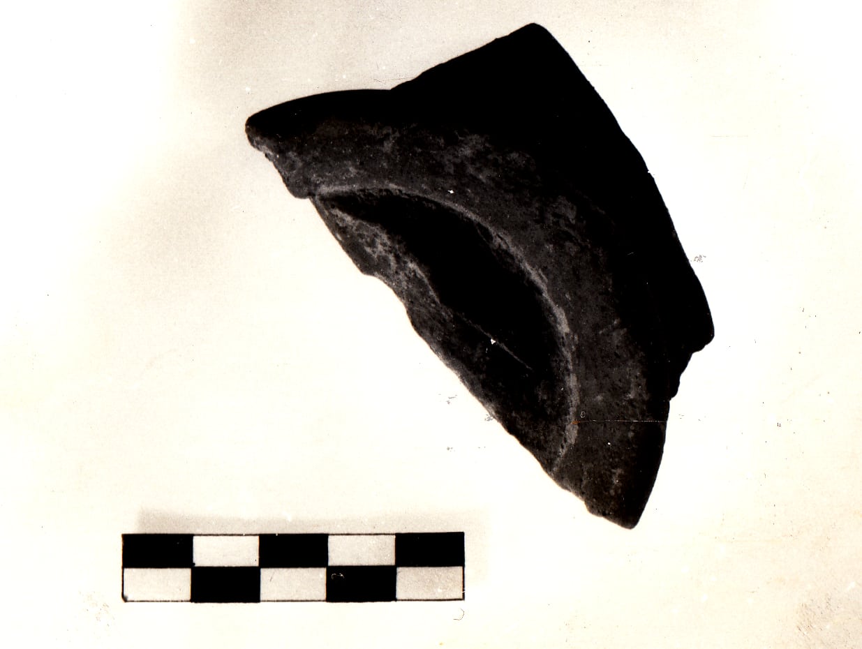 scodella, Tiné Bertocchi classe B (V sec. a.c)