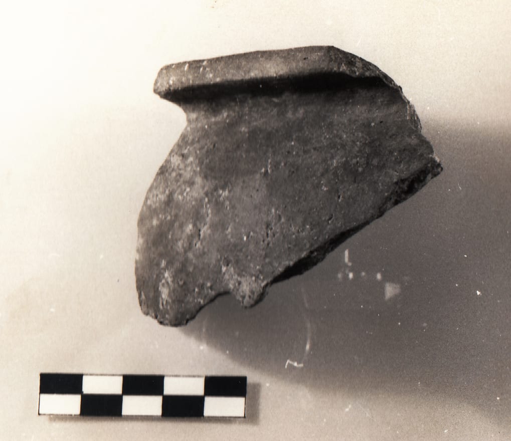 olla, Mannoni 1976 tipo F (V sec. a.c)