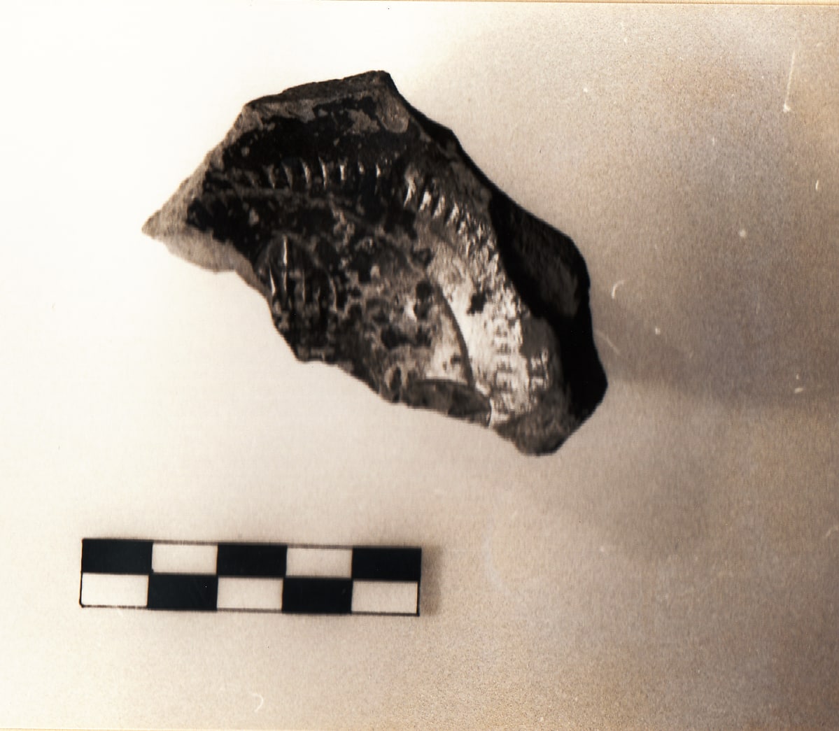 olla, Mannoni impasto A (V - IV sec. a.c)