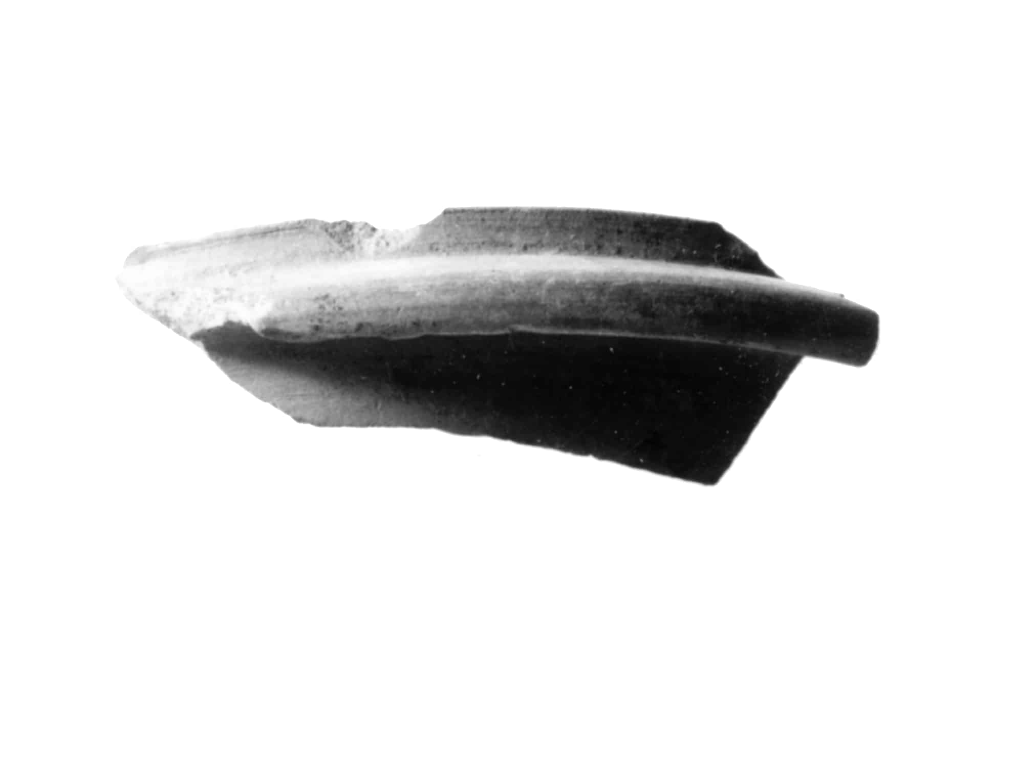 vaso, Lamboglia forma 24/25 (IV sec. d.C)