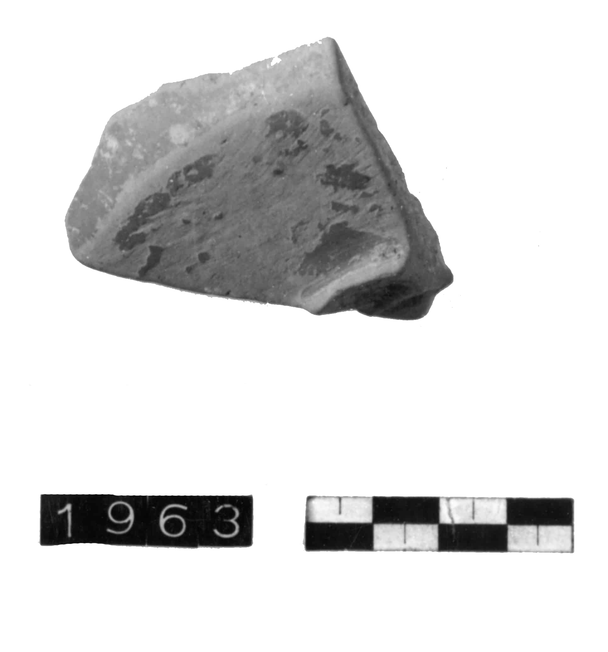 coppa, Lamboglia forma 3 (II - III sec. d.c)