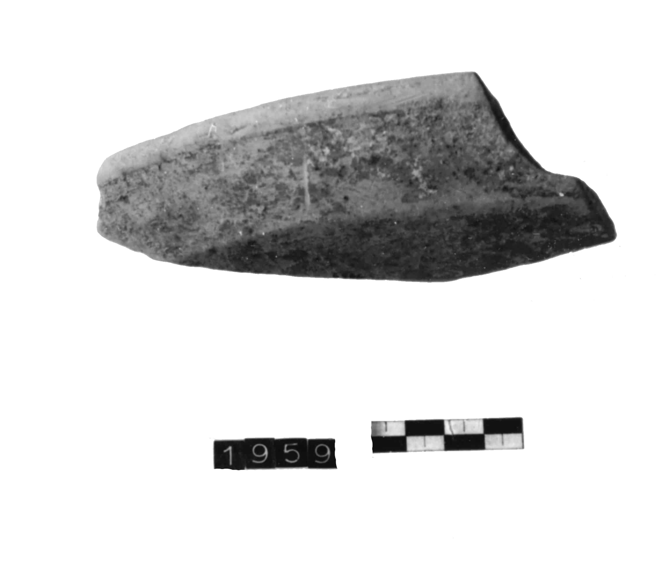 patera, Lamboglia forma 40 (III sec.d.c)