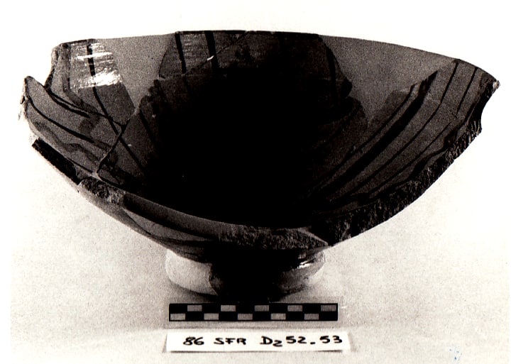 catino, Berti-Tongiorgi 1977 forma D II (inizi XV sec. d.c)