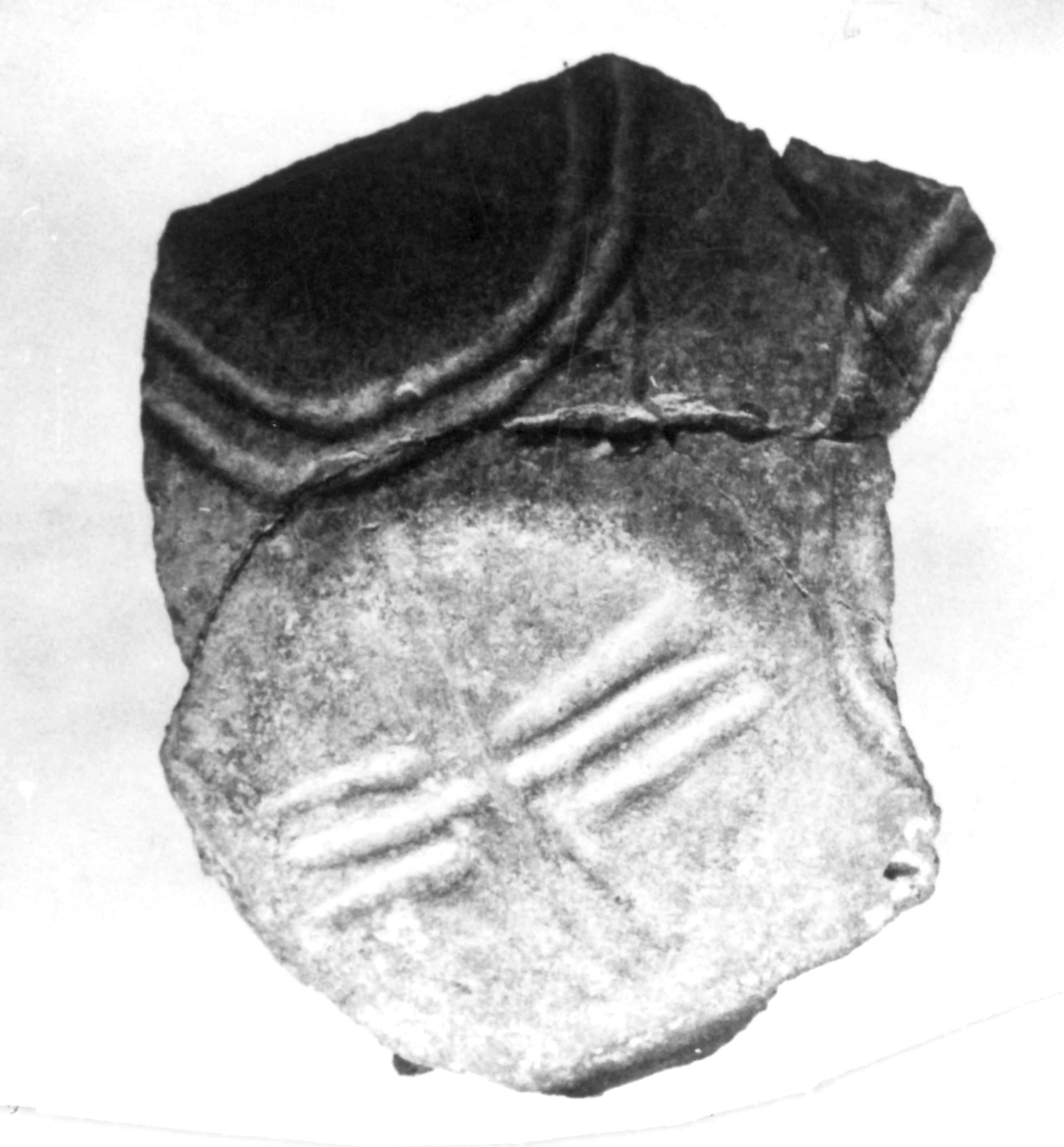 tazza (Media età del Bronzo)