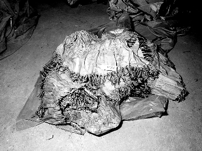 bordura, serie - manifattura italiana (seconda metà sec. XIX)