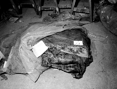 mantovana - manifattura italiana (sec. XIX)