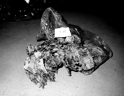 parato da chiesa, frammento - manifattura toscana (sec. XIX)