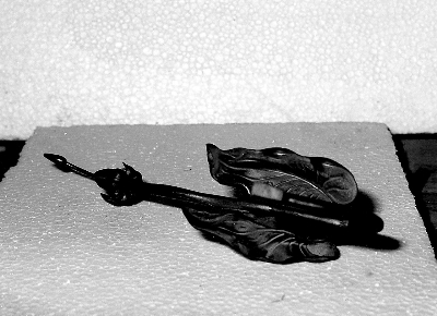 braccio per tenda - bottega italiana (sec. XIX)