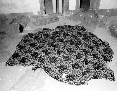 tappeto - manifattura italiana (?) (sec. XIX)