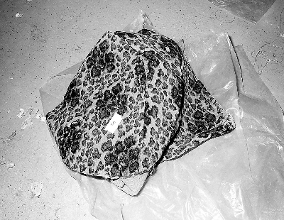 tappeto - manifattura italiana (sec. XIX)