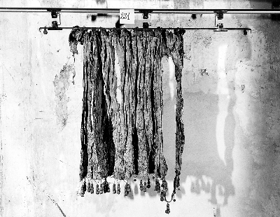 tenda - manifattura italiana (sec. XIX)