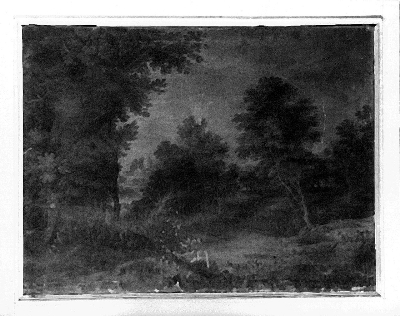 paesaggio con alberi (dipinto) - ambito fiammingo (seconda metà sec. XVII)