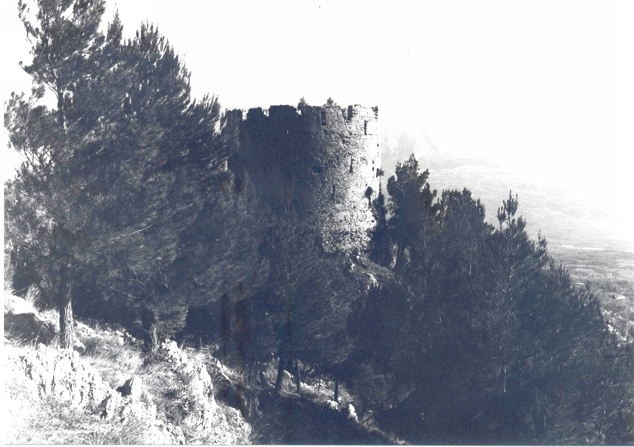 castello, fortificato - Senerchia (AV) 