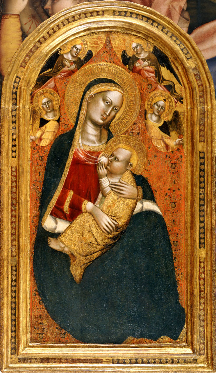 Madonna dell'Umiltà e quattro angeli (dipinto) di Maestro dell'Altare di San Niccolò (sec. XIV)