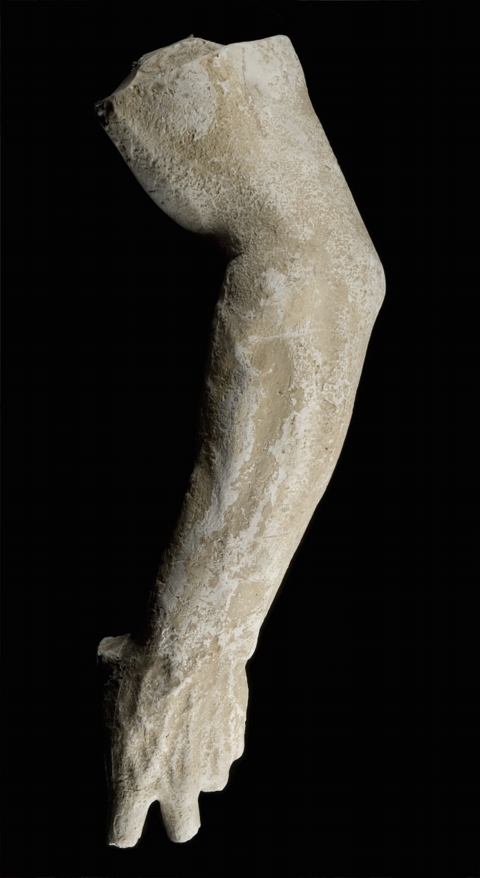 braccio sinistro (calco) di Bartolini Lorenzo (bottega) (sec. XIX)