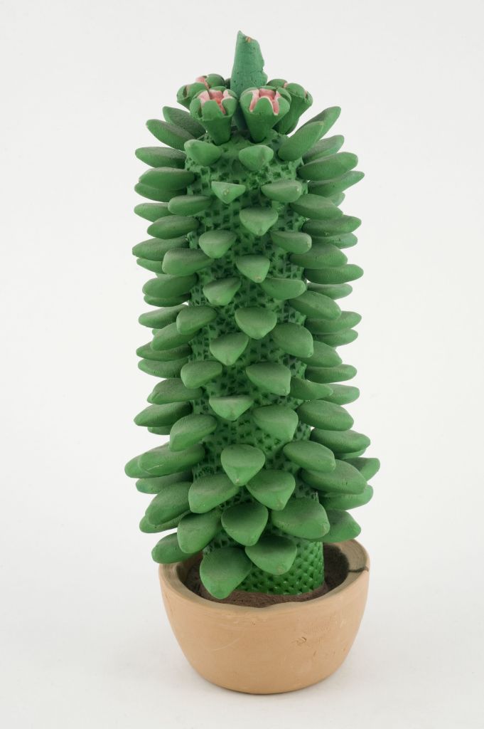 Pianta grassa, pianta (fischietto, a fessura interna, strumenti musicali) di Diaferio Michele - laboratorio (2005)