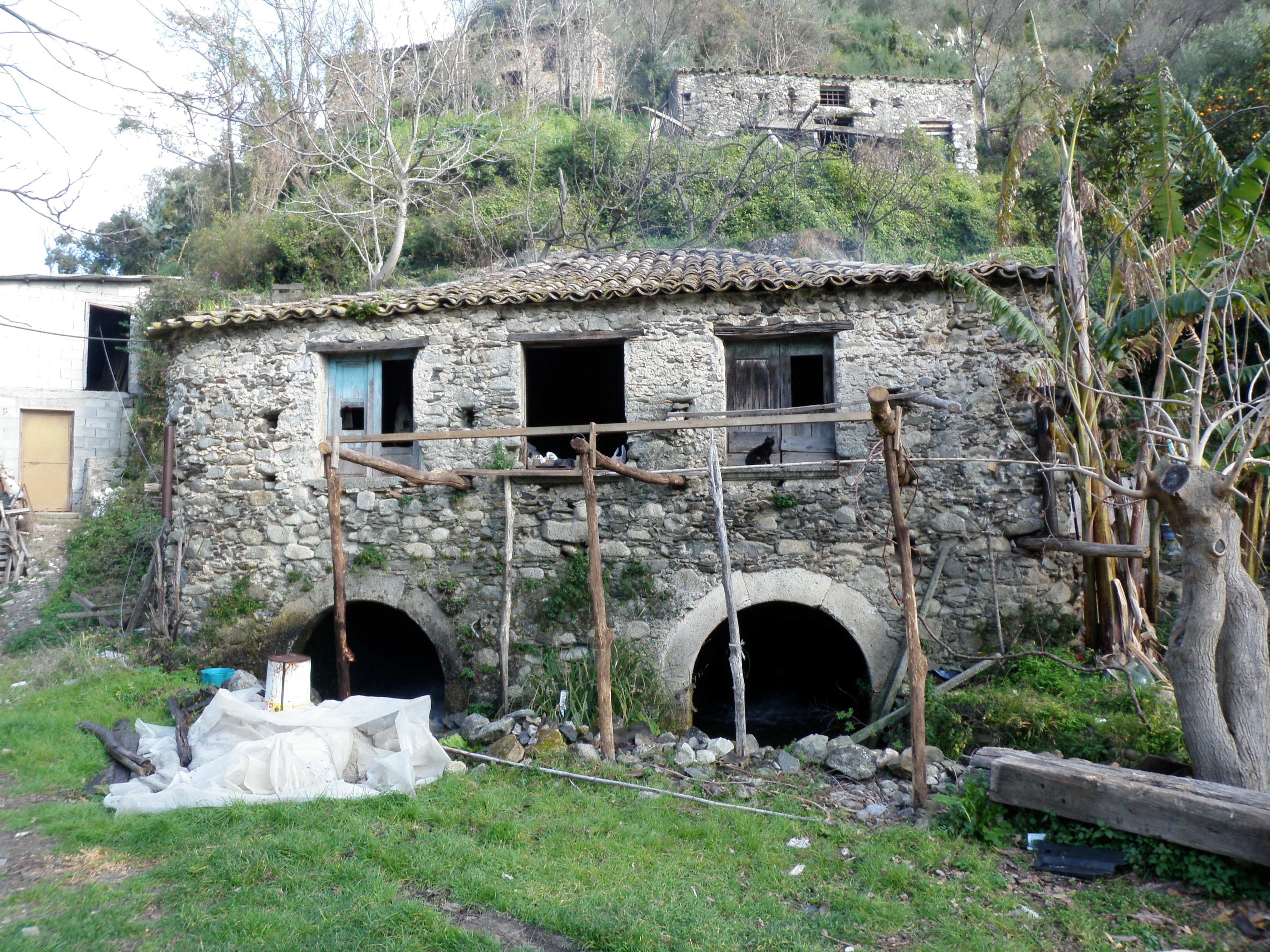 Mulino Cimino (mulino, ad acqua) - Mammola (RC) 