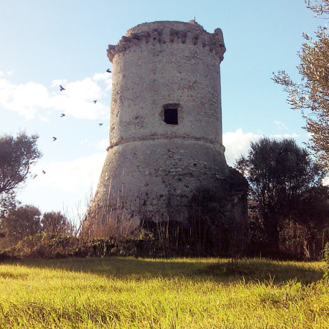 Torre Camillari (torre) - Caulonia (RC)  (XVI)