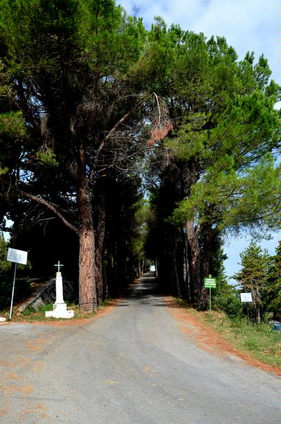 Viale delle Rimembranze (viale, pubblico) - Campobasso (CB) 