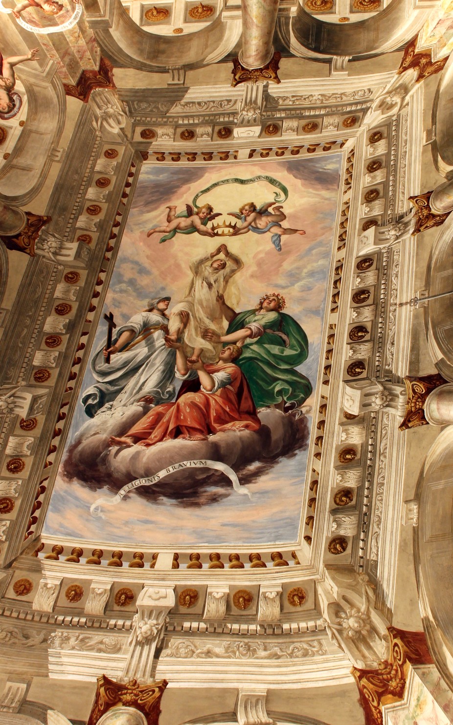 Gloria di San Bruno e Virtù (decorazione pittorica, ciclo) di Della Rovere Giovanni Mauro detto Fiamminghino (sec. XVII)