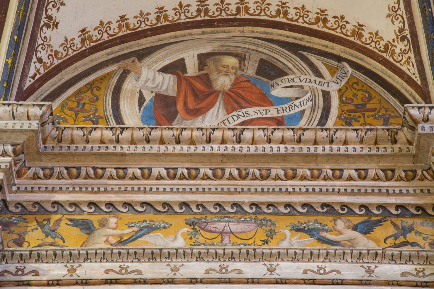 Geremia (dipinto murale, elemento d'insieme) di Ambrogio da Fossano detto Bergognone (attribuito) (sec. XVI)