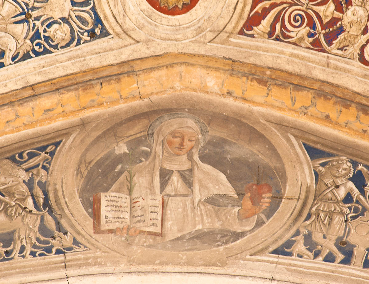 Santa Caterina da Siena (dipinto murale, elemento d'insieme) di De Mottis Iacopino (attribuito) (sec. XV)