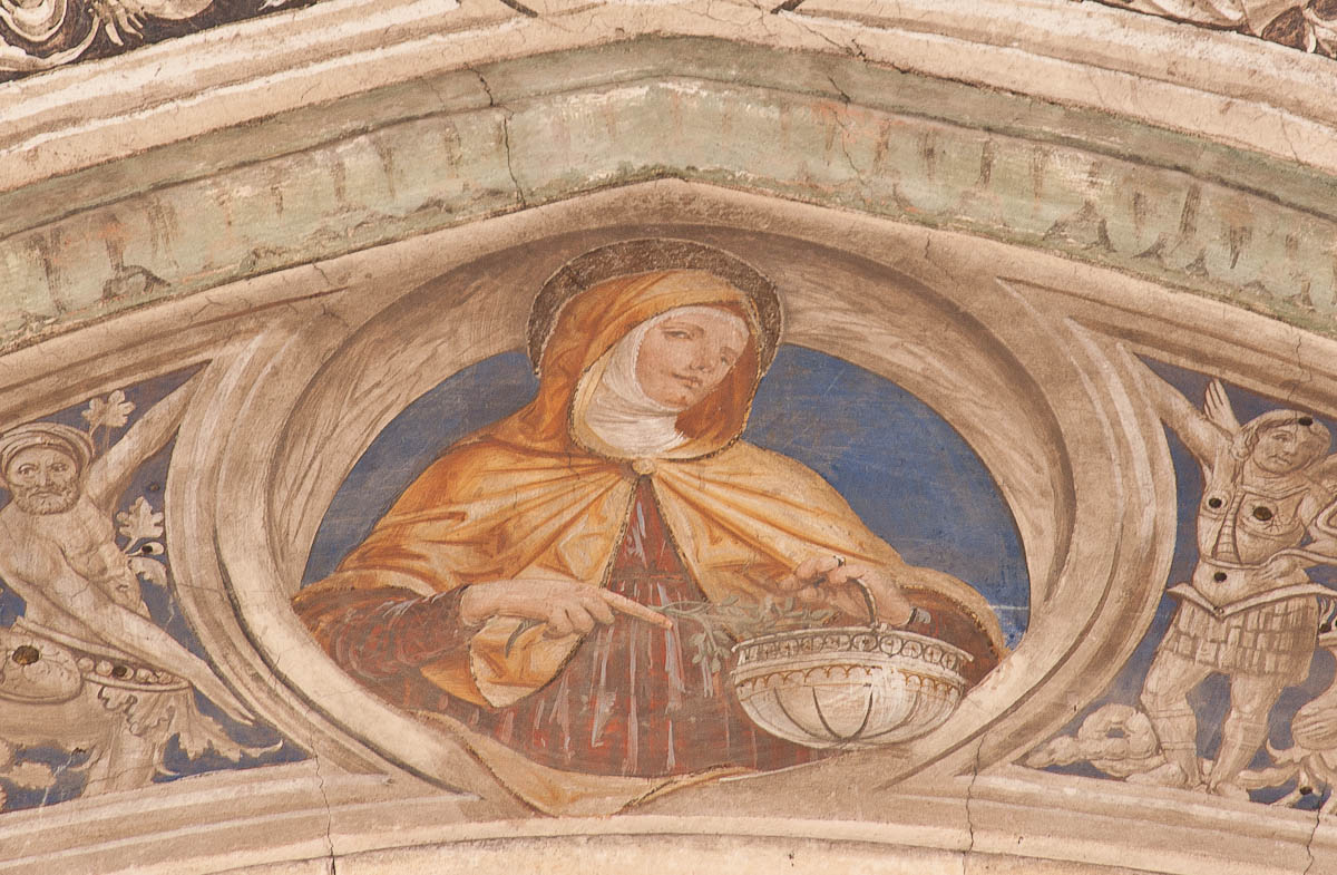 Santa Marta (dipinto murale, elemento d'insieme) di De Mottis Iacopino (attribuito) (sec. XV)