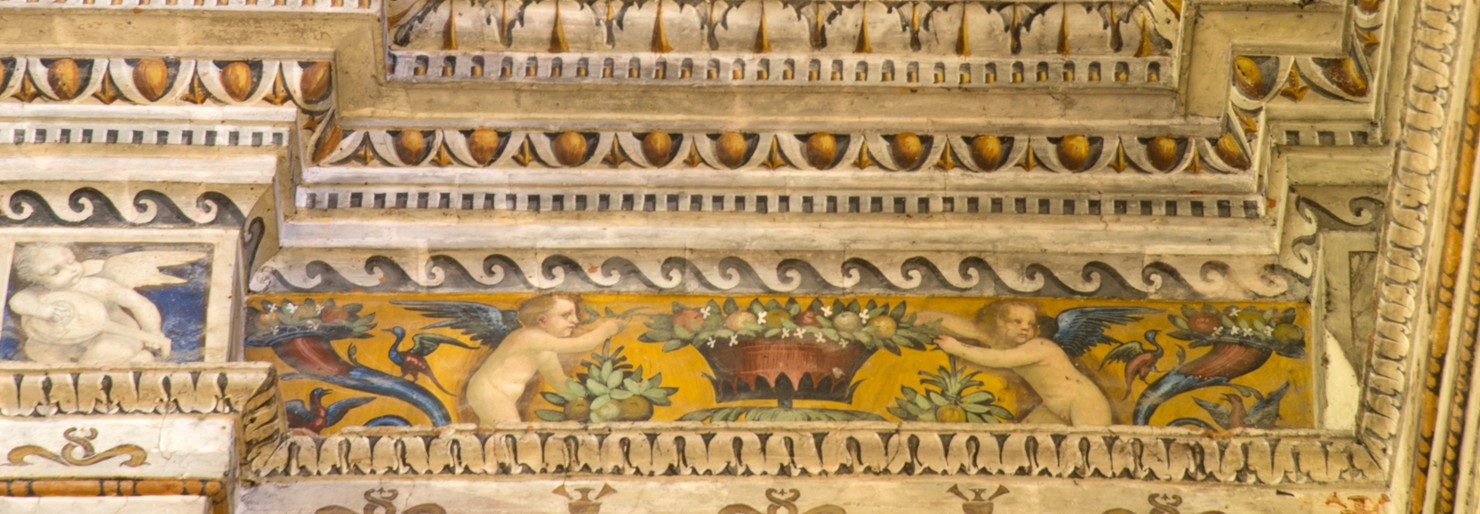 Putti alati, animali e strumenti musicali (dipinto murale, elemento d'insieme) di Maestro dei SS. Cosma e Damiano (attribuito) (sec. XVI)