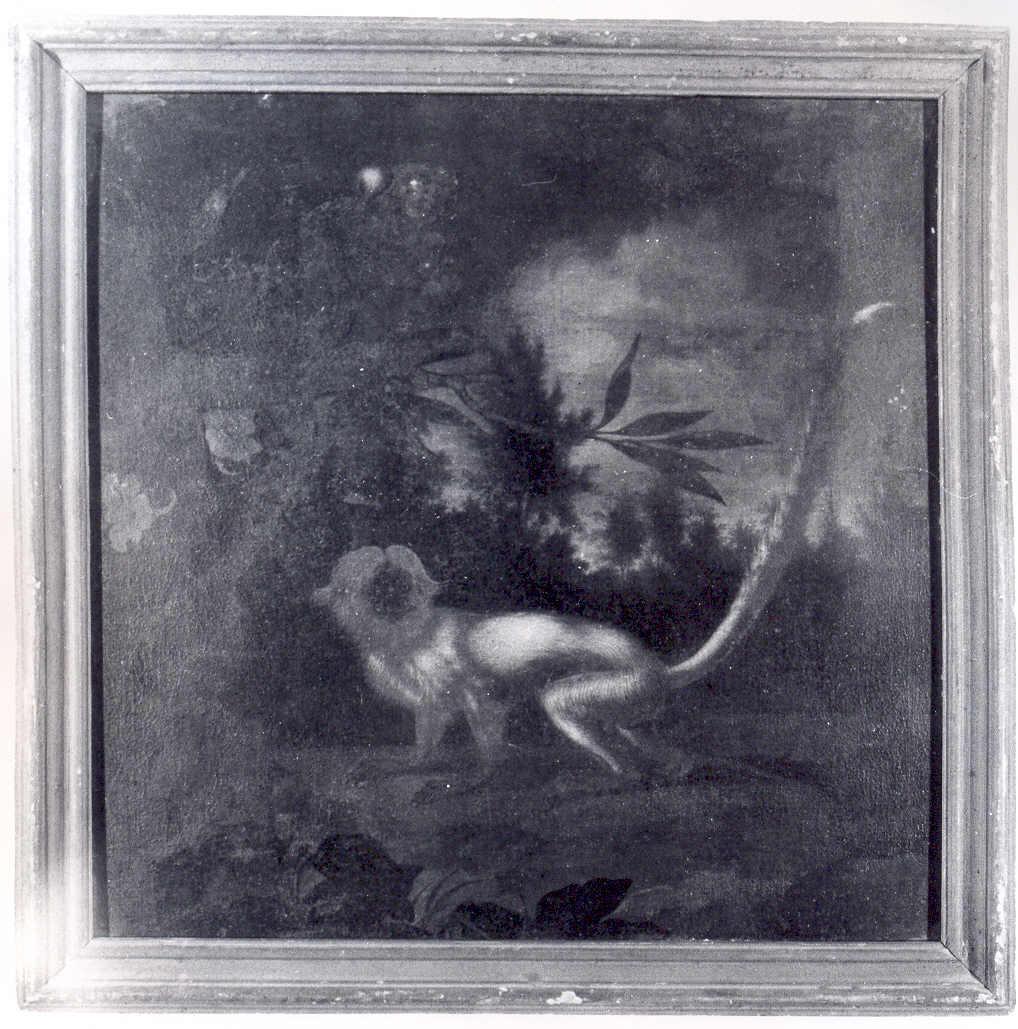 Due scimmie che giocano in un giardino, Due scimmie in giardino, una a terra, l'altra su un ramo che si ciba di frutta (dipinto) di Enzinger Anton (attribuito) (seconda metà sec. XVIII)