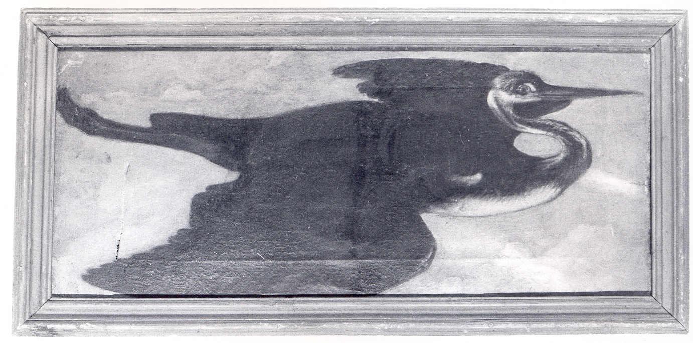 airone in volo (dipinto, opera isolata) di Enzinger Anton (attribuito) (sec. XVIII)