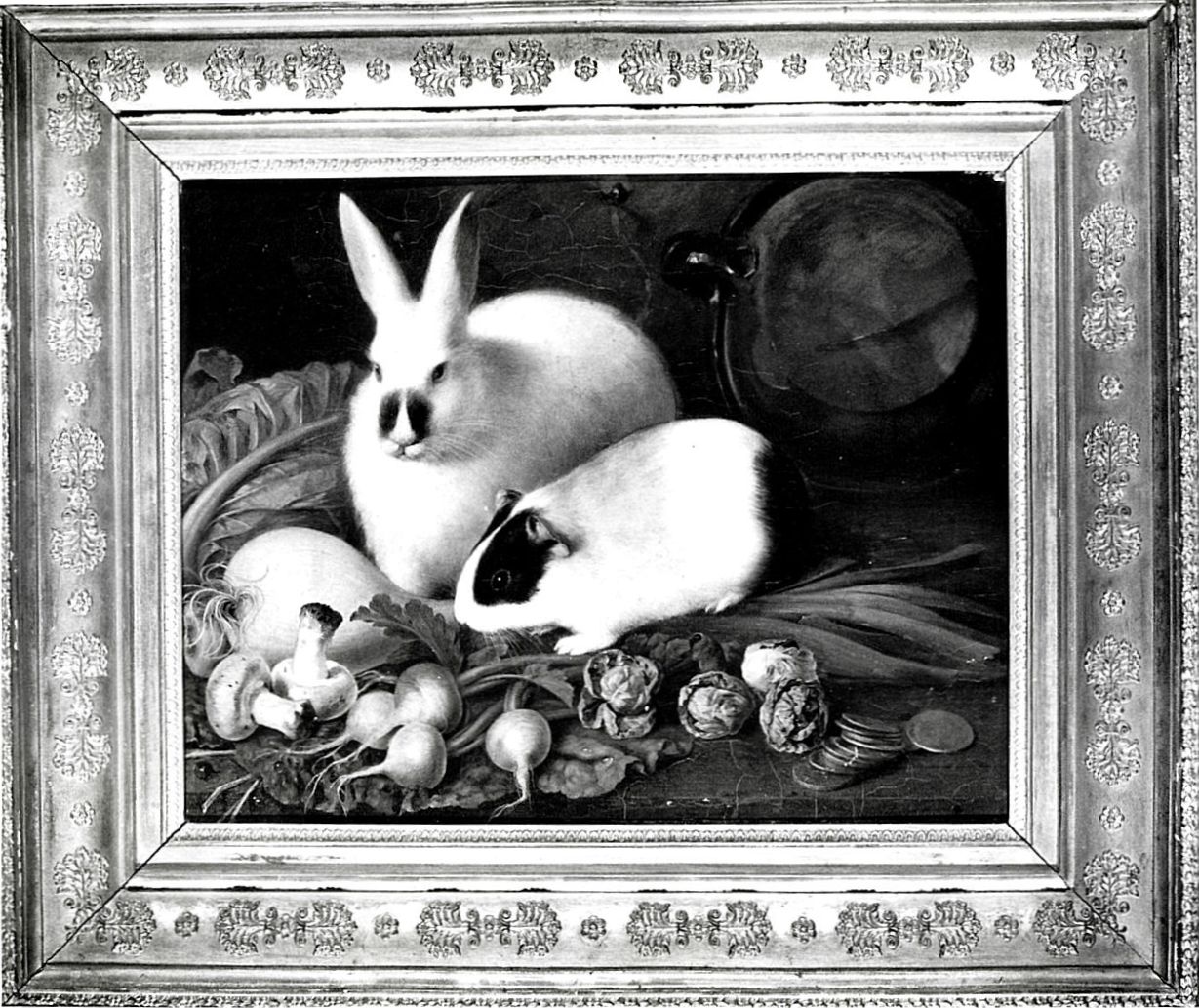 natura morta con conigli verdura, monete e mappamondo (dipinto, opera isolata) di Kröpsch Josef Wilhelm (sec. XIX)