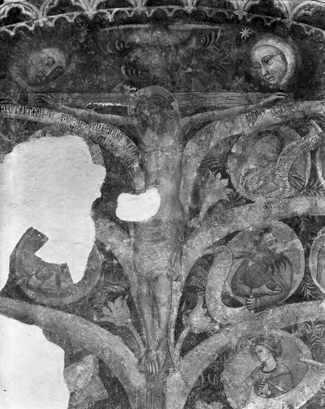 albero genealogico dell'Ordine domenicano (dipinto) - ambito fiorentino (sec. XIV)