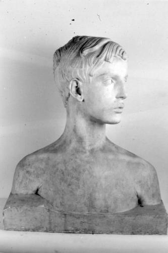 L'adolescente, figura maschile (busto) di Martinez Gaetano (sec. XX)