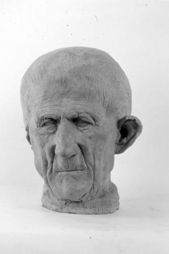 testa d'uomo (scultura) di Marra C (sec. XX)