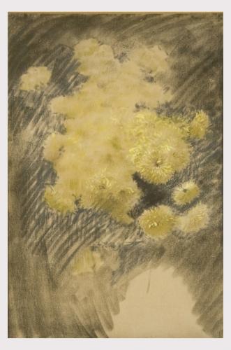 Crisantemi, composizione di crisantemi (dipinto) di De Nittis Giuseppe Gaetano (sec. XIX)