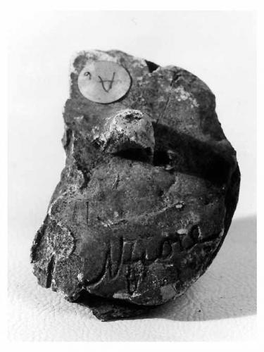 piede (statua) di Fiore Nicola (sec. XX)