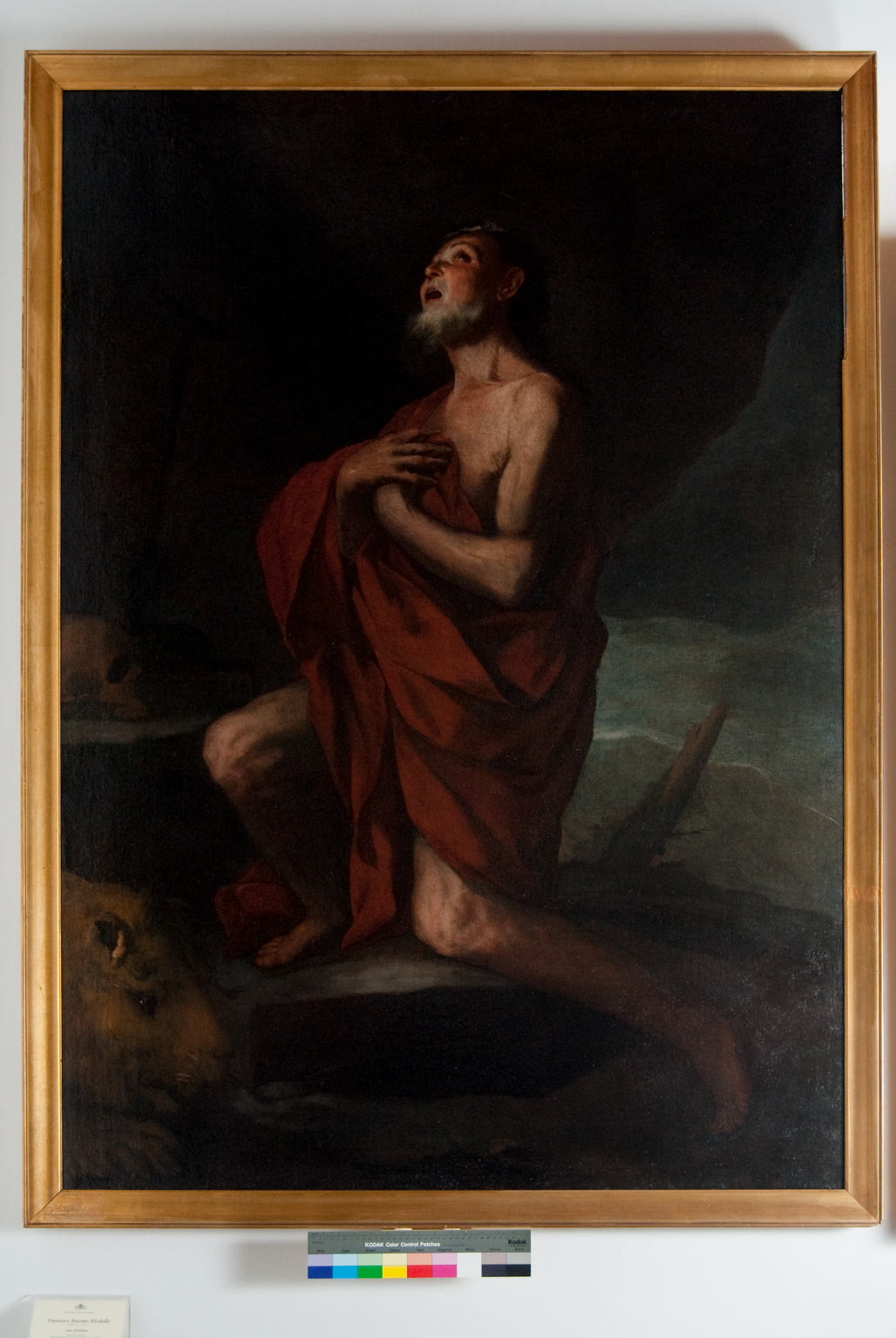 San Girolamo (dipinto) di Altobello Francesco Antonio (sec. XVII)
