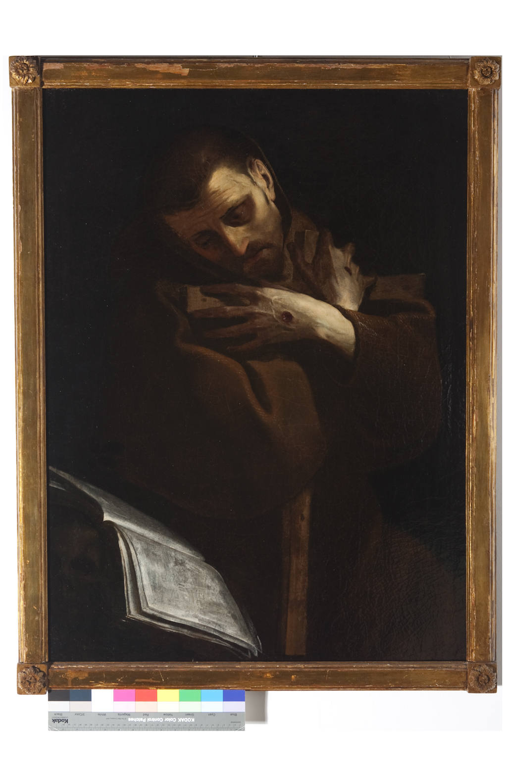 San Francesco d'Assisi in preghiera (dipinto) di Crespi Giovanni Battista detto Cerano (sec. XVII)