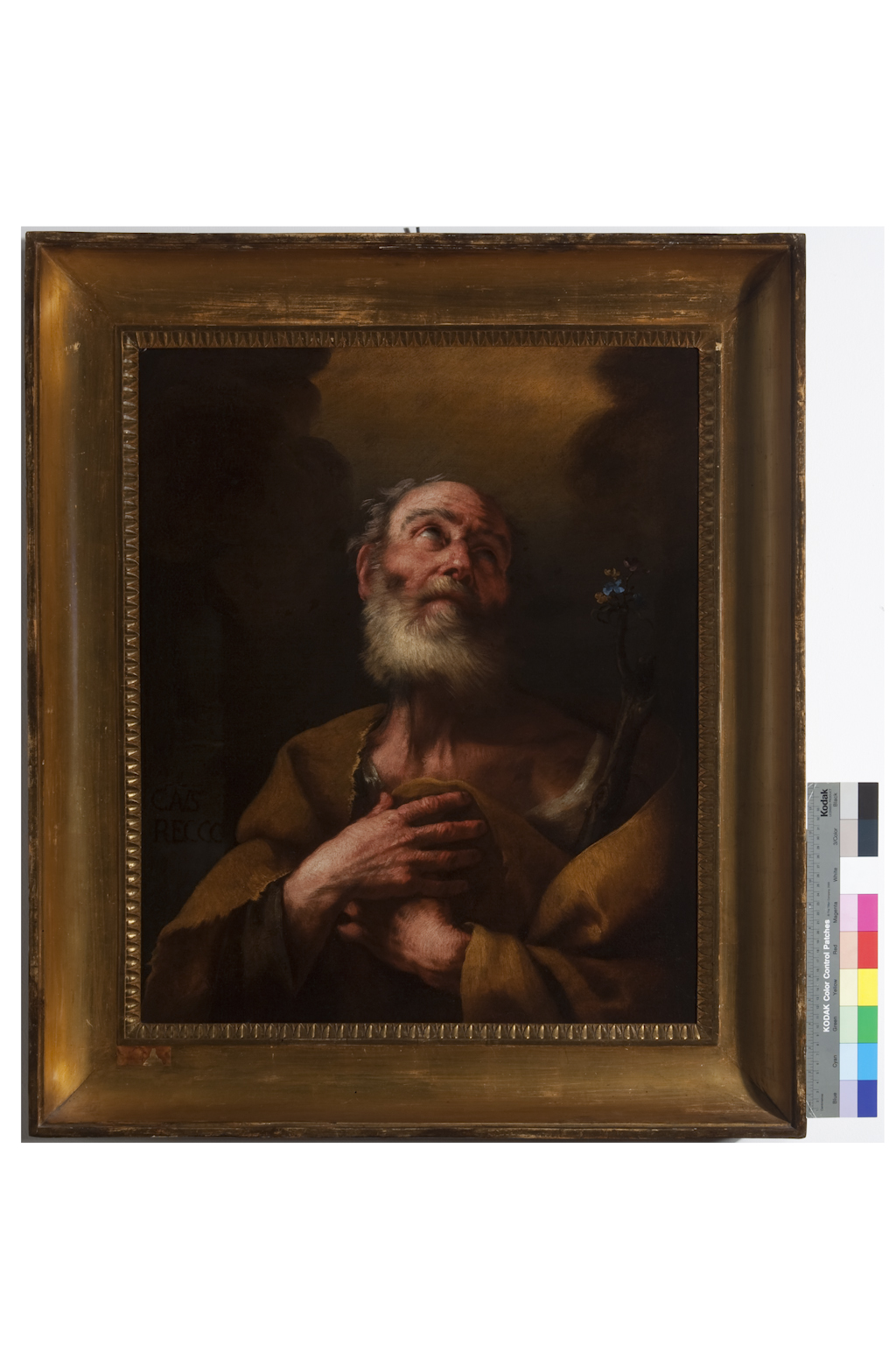 San Giuseppe (dipinto) di Recco Gaetano (sec. XVII)