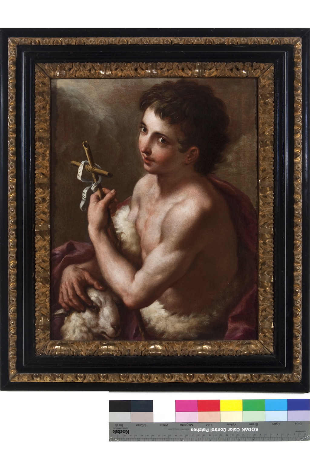 San Giovannino con l'agnello (dipinto) di Sarnelli Antonio (metà sec. XVIII)