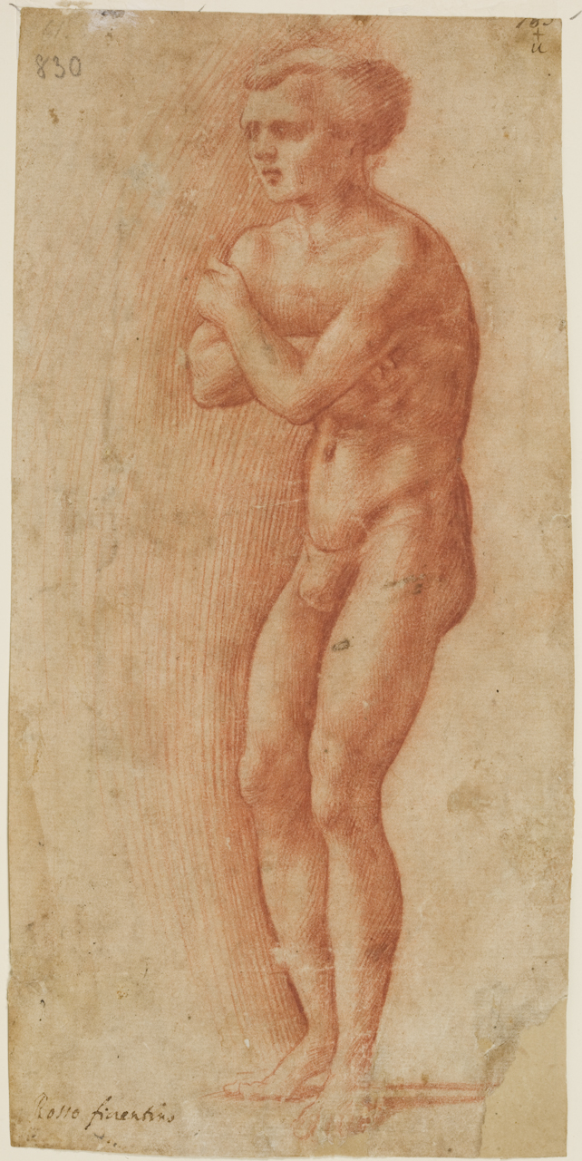 nudo maschile (disegno) di Giovan Battista di Jacopo detto Rosso Fiorentino (primo quarto sec. XVI)