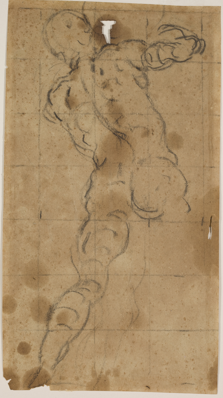 studio di nudo di spalle (disegno) di Robusti Domenico detto Tintoretto (ultimo quarto sec. XVI)