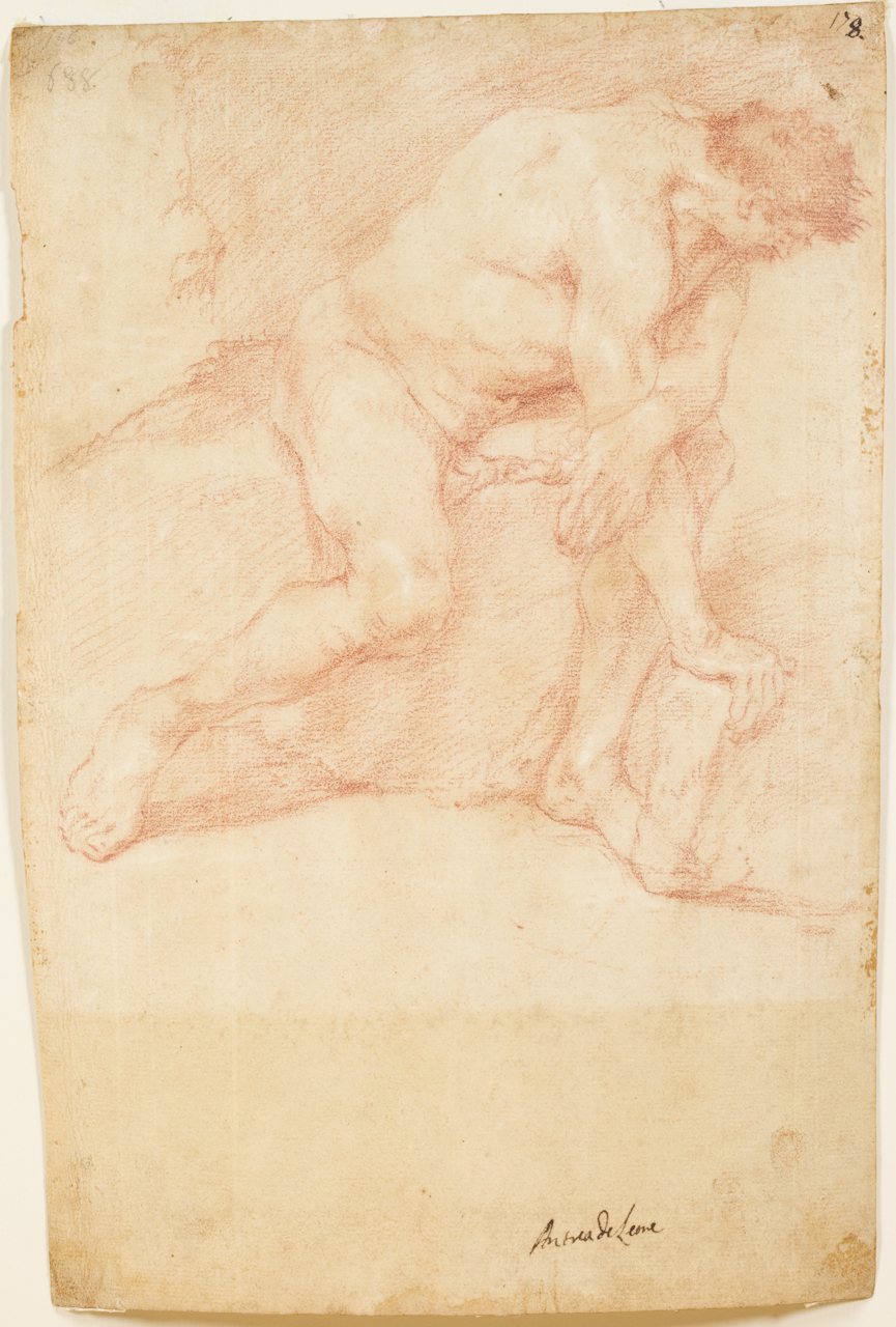 studio di nudo maschile (disegno) di De Lione Andrea (sec. XVII)