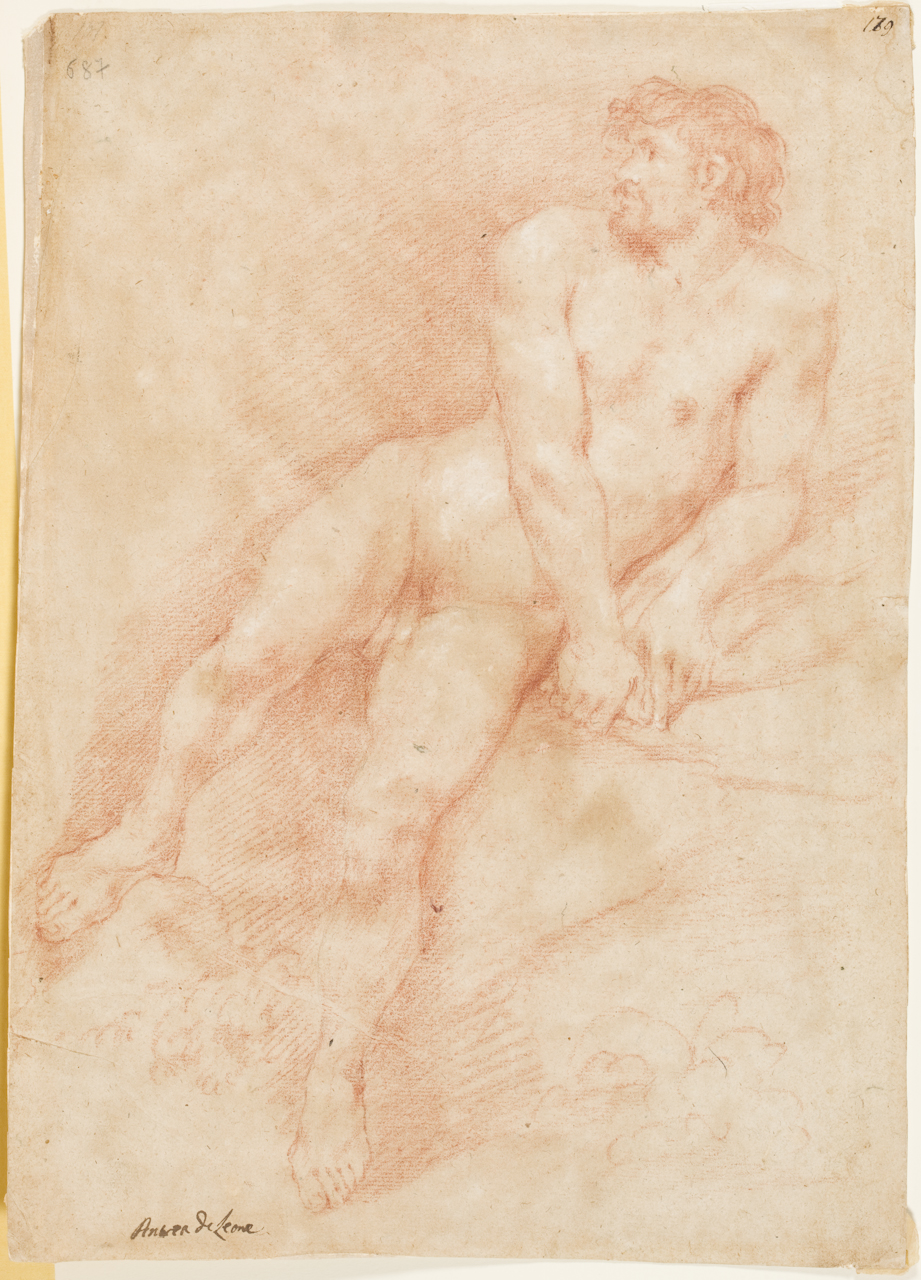 studio di nudo maschile (disegno) di De Lione Andrea (sec. XVII)
