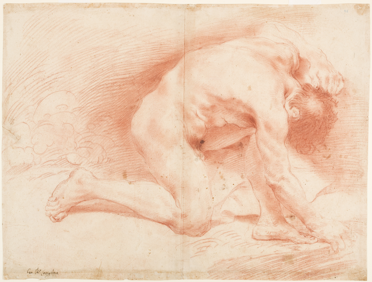 studio di nudo maschile, studio di Ercole (disegno) di Castiglione Giovanni Benedetto detto Grechetto (sec. XVII)