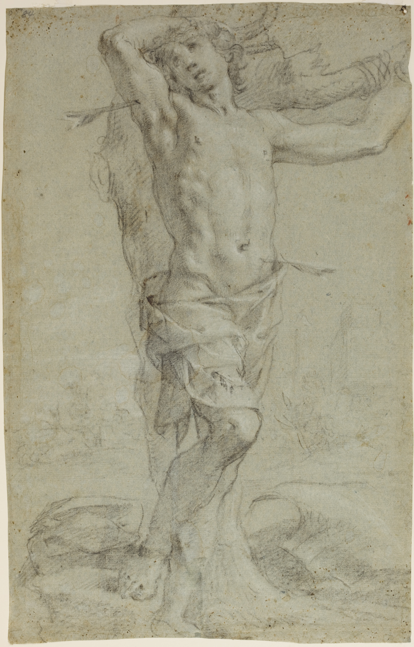 martirio di San Sebastiano, studio di nudo maschile (disegno) di Camassei Andrea (prima metà sec. XVII)