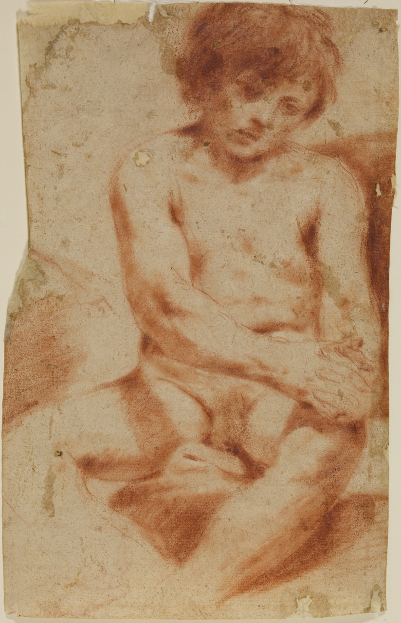 studio di nudo maschile seduto, studio di mani (disegno) di Cagnacci Guido (sec. XVII)